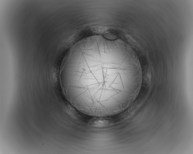 X0000116020658200911271117