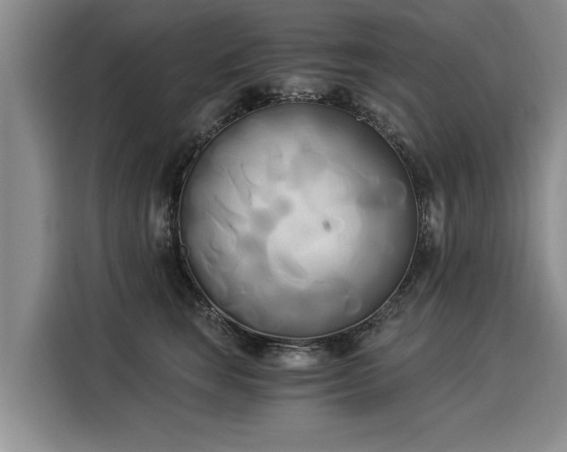 X0000116020663200911271117