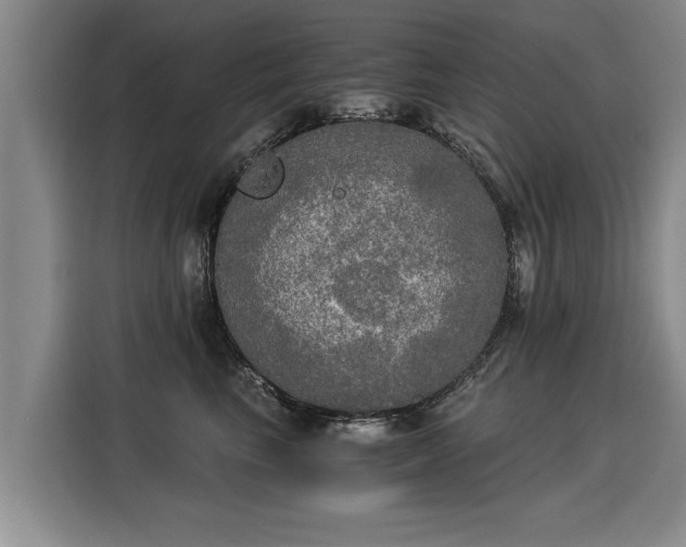 X0000116020665200911271117