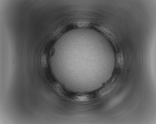 X0000116020667200911271117