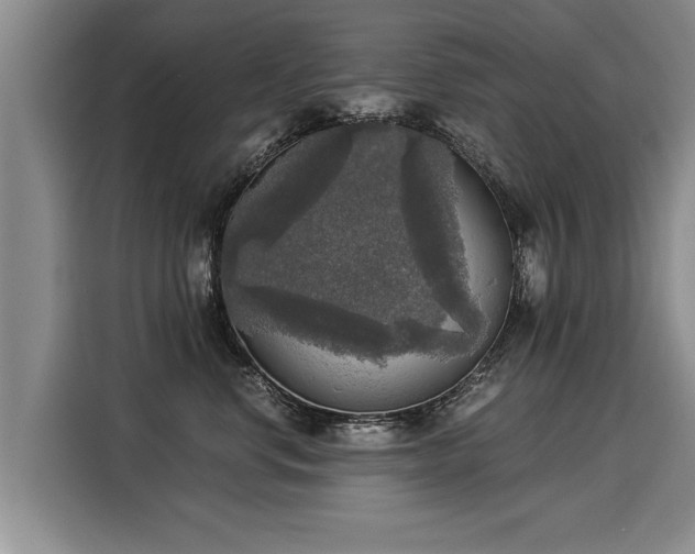 X0000116020668200911271117