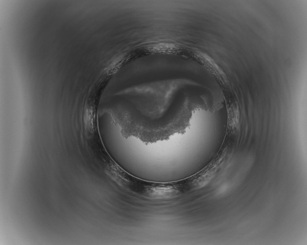 X0000116020669200911271117