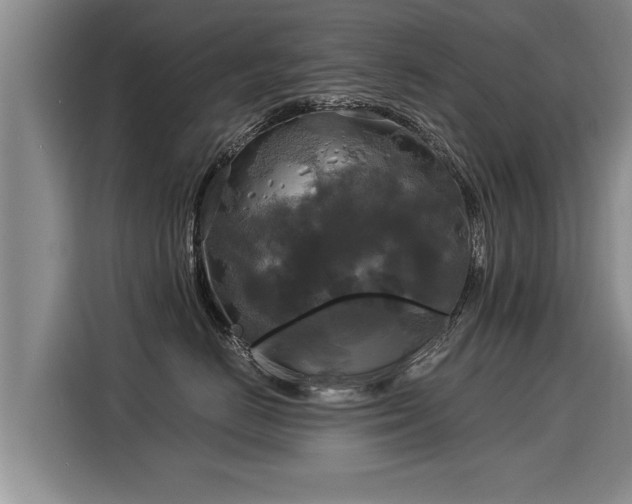 X0000116020670200911271117