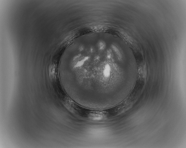 X0000116020671200911271117