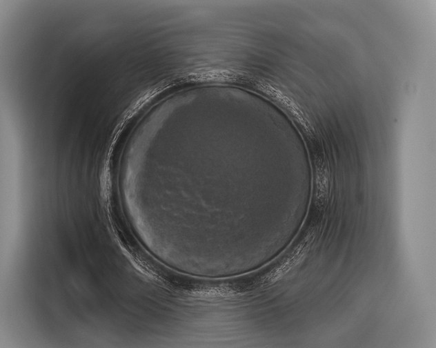 X0000116020674200911271116