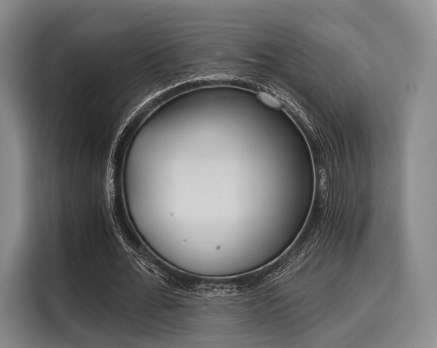 X0000116020676200911271116