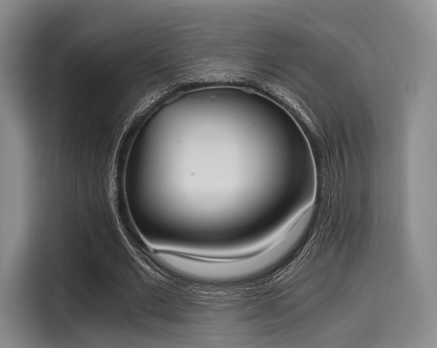 X0000116020677200911271116