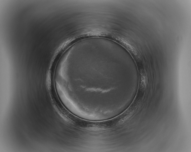 X0000116020678200911271116