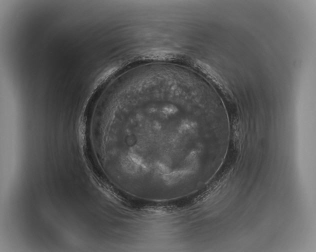 X0000116020679200911271116