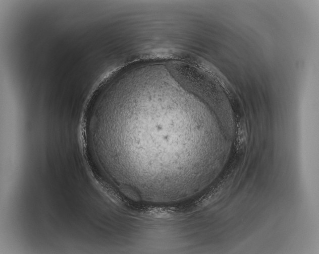 X0000116020680200911271116