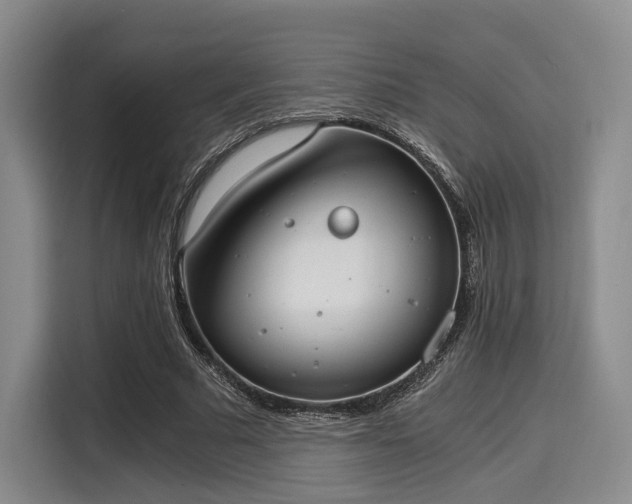 X0000116020681200911271116