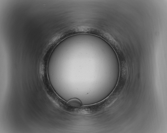 X0000116020683200911271116