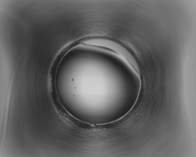 X0000116020684200911271116