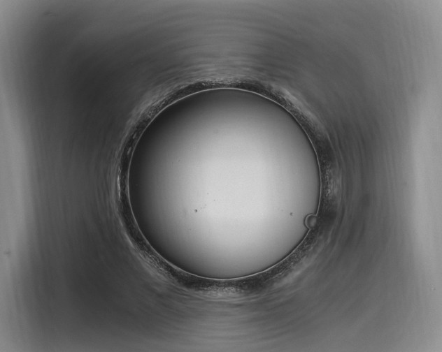 X0000116020685200911271116