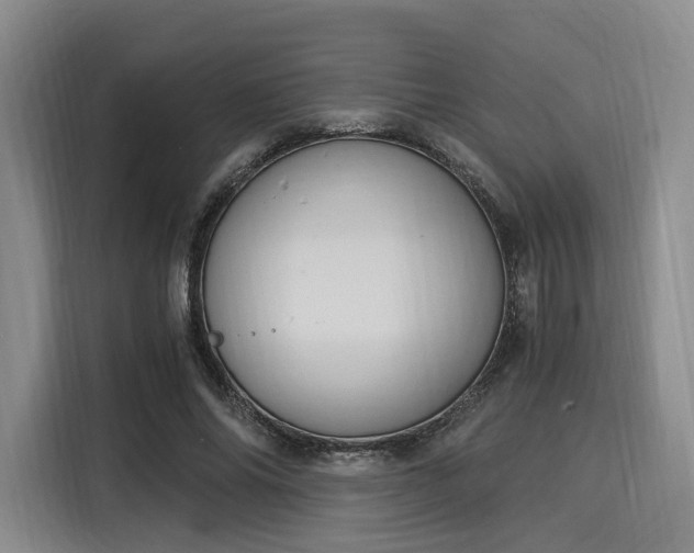 X0000116020686200911271116