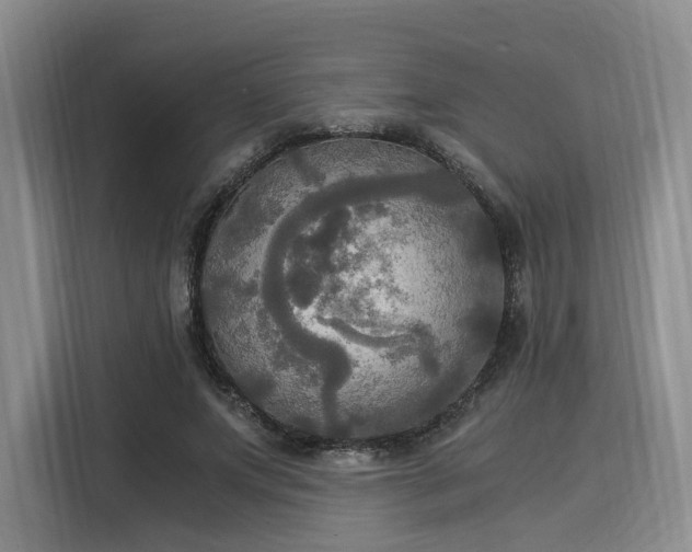 X0000116020687200911271116