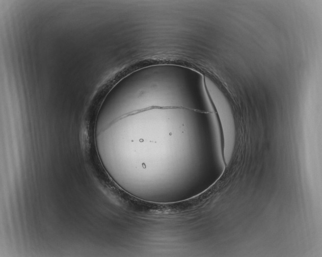 X0000116020688200911271116