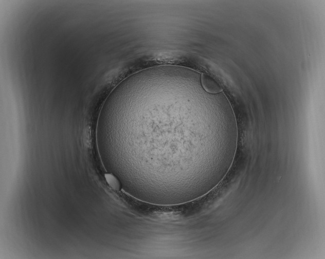 X0000116020689200911271116