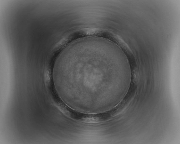 X0000116020691200911271116