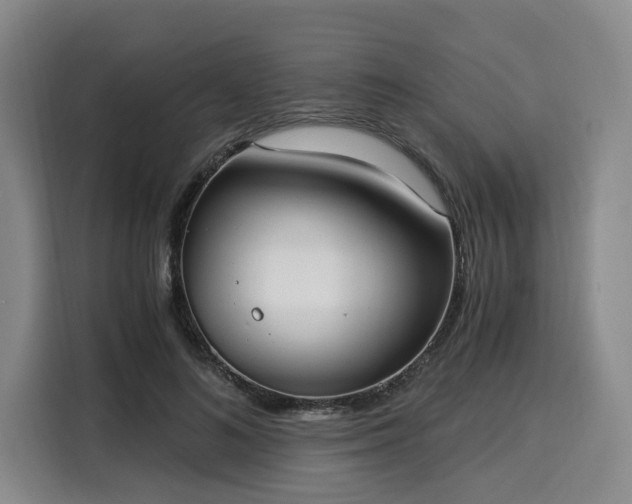 X0000116020692200911271116