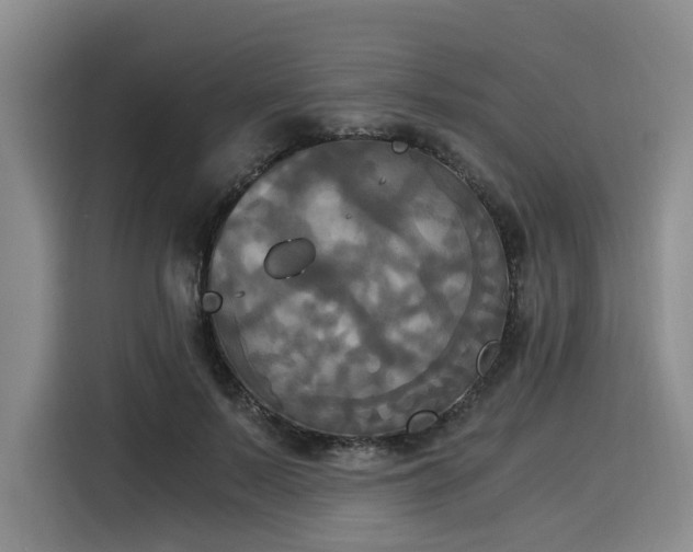 X0000116020695200911271116