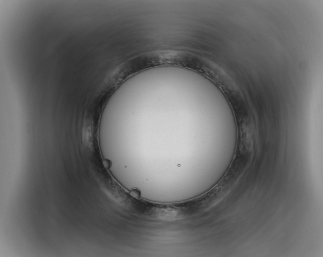 X0000116020698200911271116