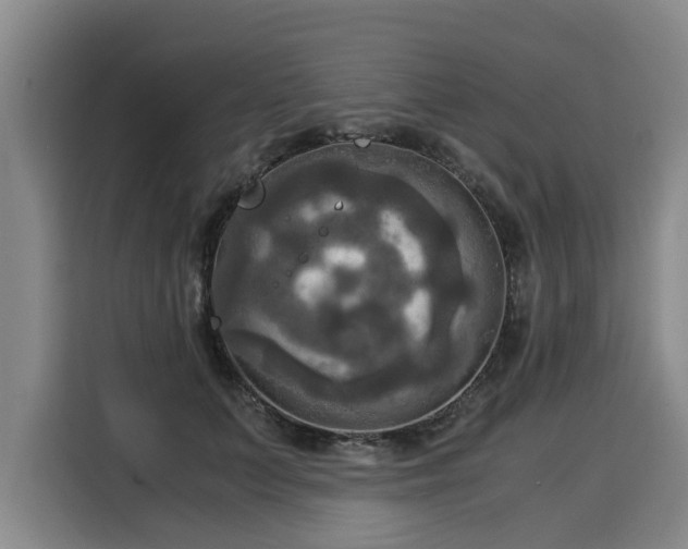 X0000116020703200911271116