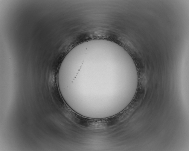 X0000116020709200911271116