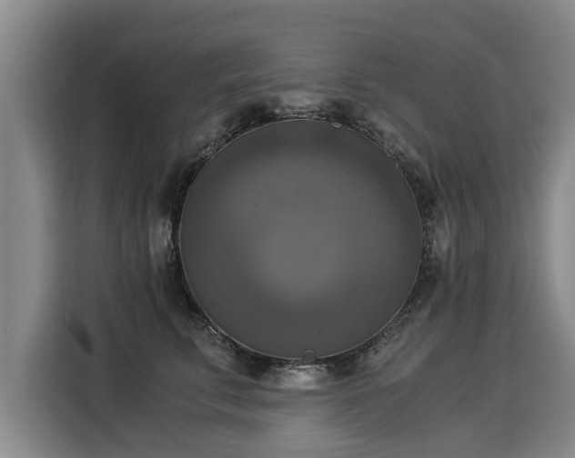 X0000116020711200911271116