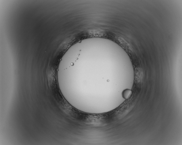 X0000116020713200911271116