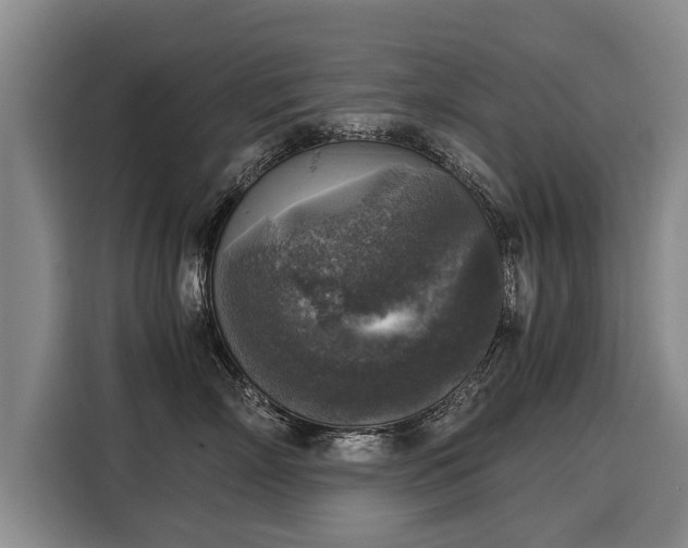 X0000116020718200911271116