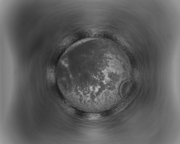 X0000116020719200911271116