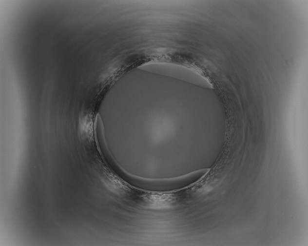 X0000116020720200911271116