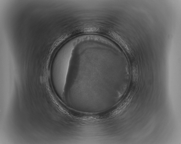 X0000116020721200911271115