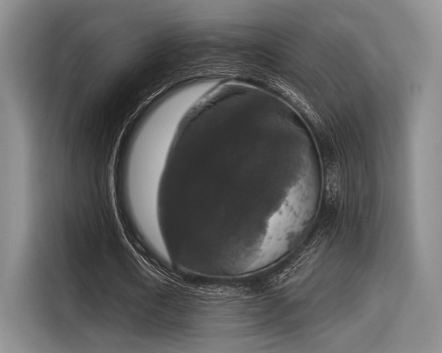 X0000116020722200911271115