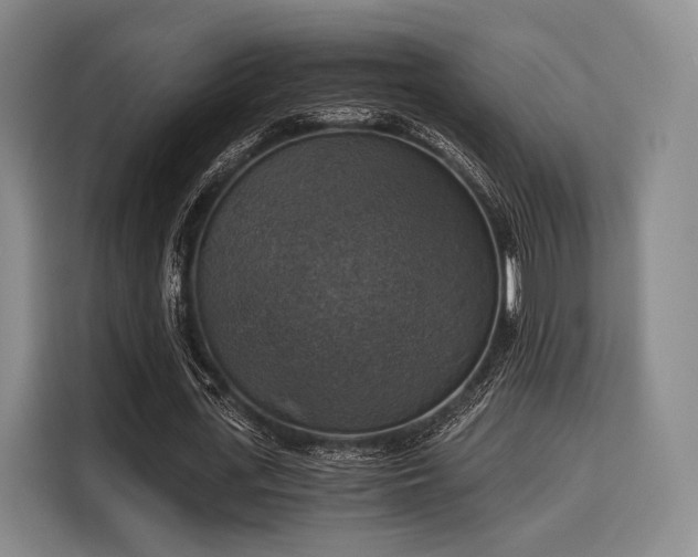 X0000116020723200911271115