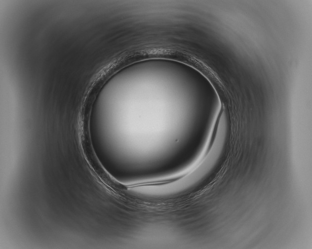 X0000116020725200911271115