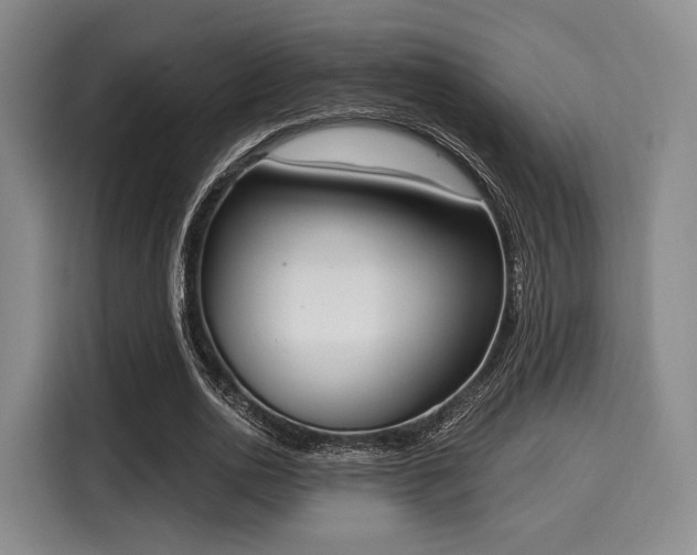 X0000116020726200911271115