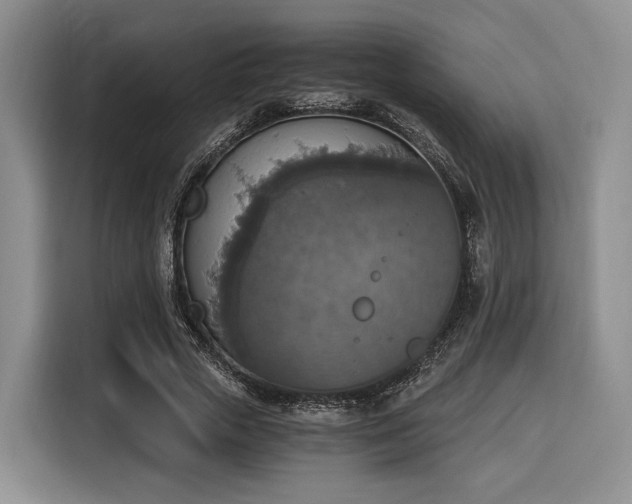 X0000116020729200911271115