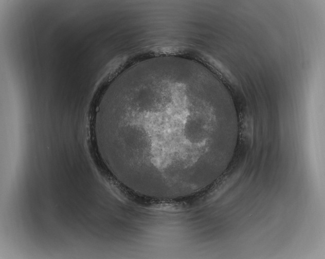 X0000116020738200911271115