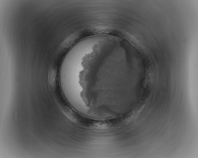 X0000116020742200911271115