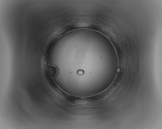 X0000116020743200911271115