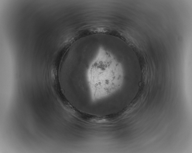 X0000116020747200911271115