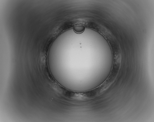 X0000116020753200911271116