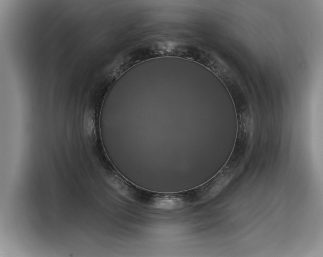 X0000116020754200911271116