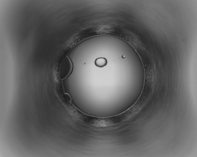 X0000116020755200911271116