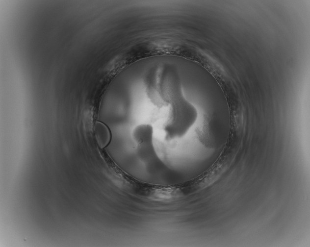 X0000116020757200911271116