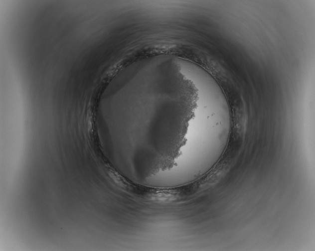 X0000116020758200911271116