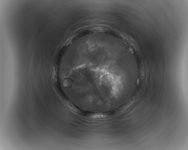 X0000116020759200911271116