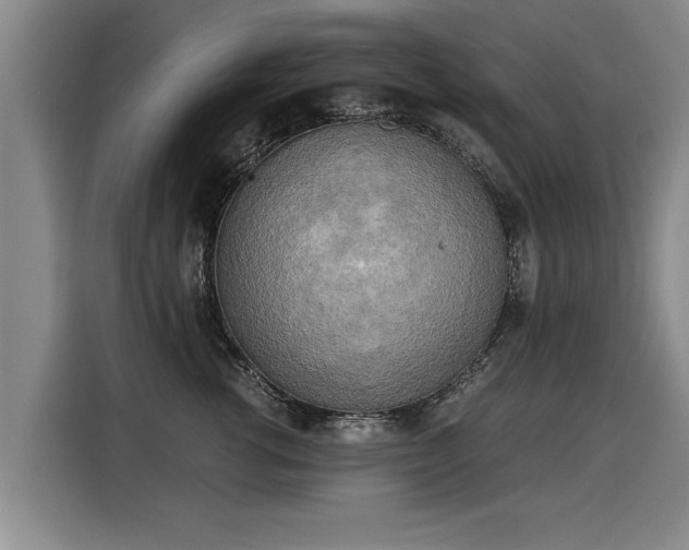 X0000116020762200911271116